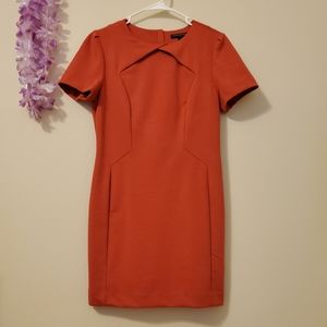 NWT Banana Republic petite 🔥 Orange dress